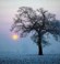 Stopped raining, overcast_ -  mist_